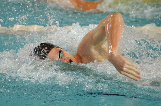 audiences-tv-france-2-en-pleine-forme-grace-a-la-natation-portrait-w532.jpg